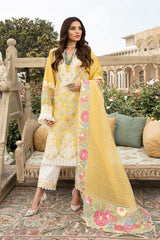 Crimson Yellow Chikankari Embroidery Collection